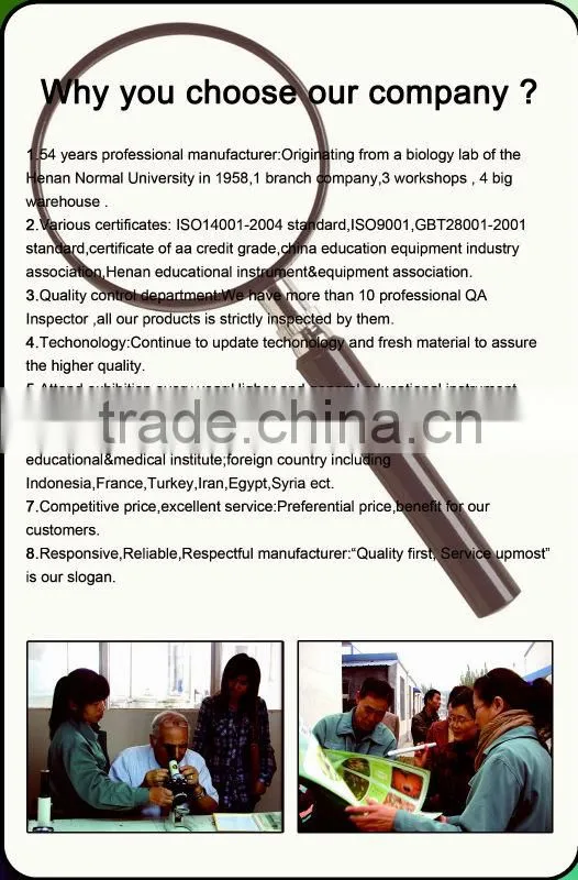 medical 3D primary school standard clam specimen for biology teaching