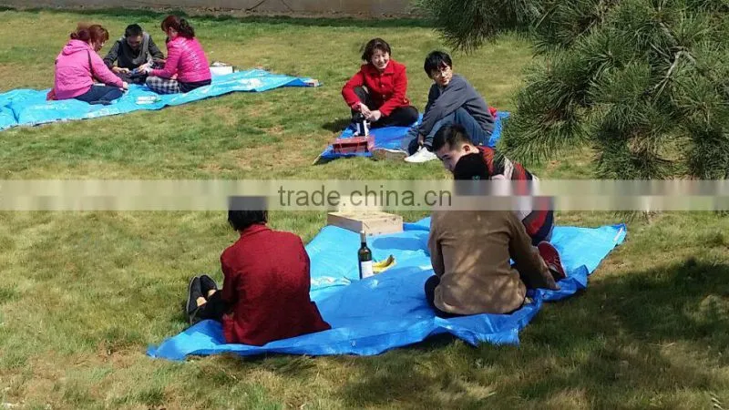 environmental PE tarpaulin customized pe plastic sheet pe plastic cover car packing sun shade damp proof