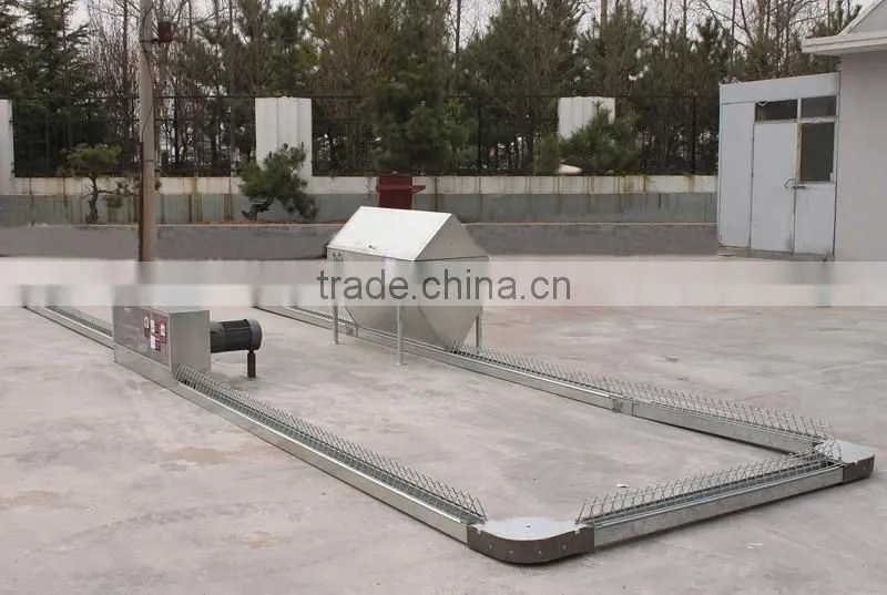 Goldenest automatic egg collection system chicken nesting boxes factory price JCJ15-A02