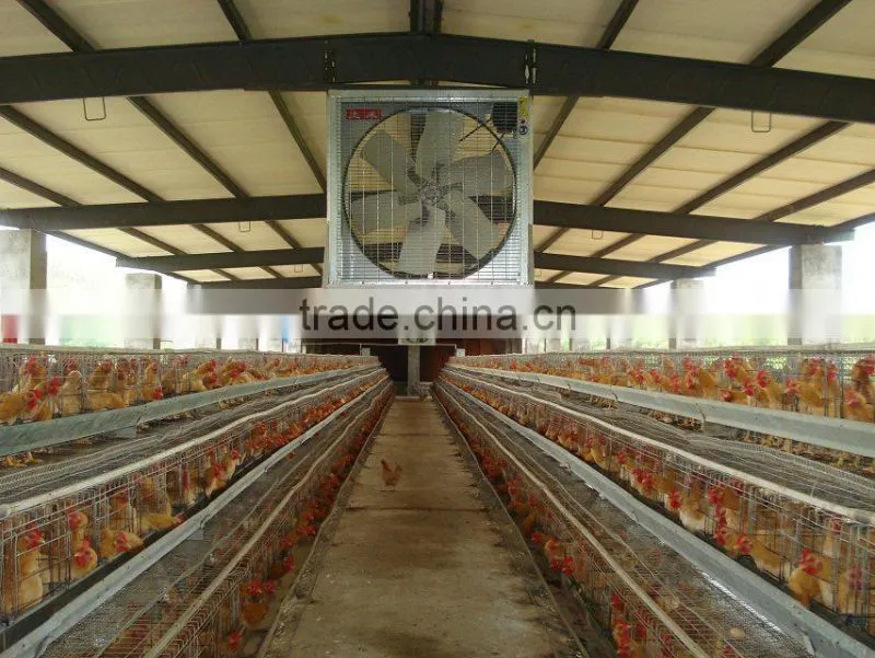 50 inch Hammer Fan,Poultry Exhuast Fan,workshop exhaust fan in tuhe