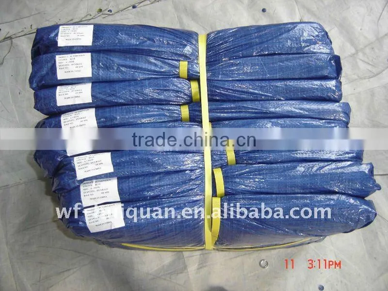 pe tarpaulin in roll/korea pe tarpaulin