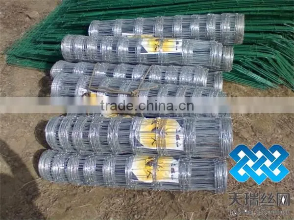 field mesh/cattle mesh/field fence