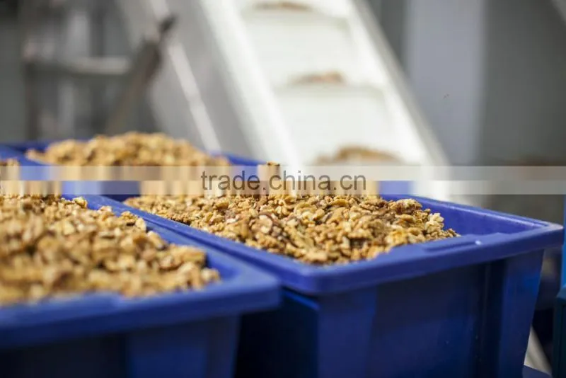 Walnut kernel multiple layer stainless steel conveyor dryer