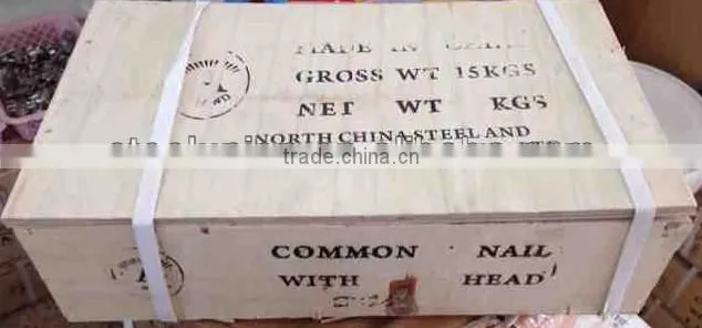 Kuwait market common wire nail