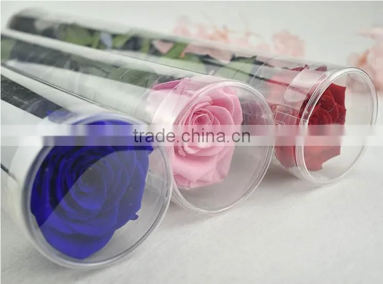 Preserved Fresh Flowers Gifts Handmade Wedding Decoration