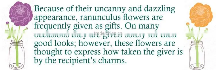 hot sell artificial ranunculus wedding low moq decoration arrangement