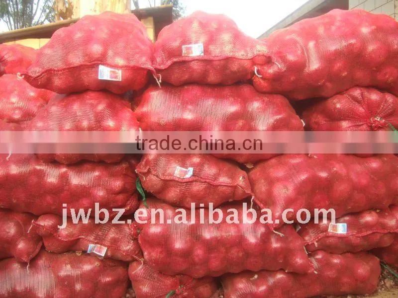 pp leno mesh bag for onion or potatoes, superior quality and competitive prices!!!
