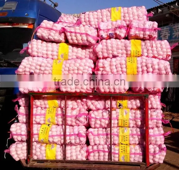 eco-friendly factory pe garlic mesh bag manufacture