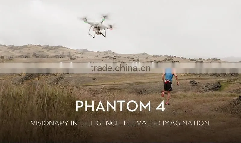 Mini Tudou 2016 Newest Product Professional Helicopter DJI Phantom 4 Follow Me Function DJI Drone With GPS