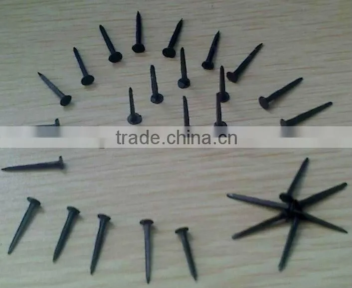 blued shoe tack nails