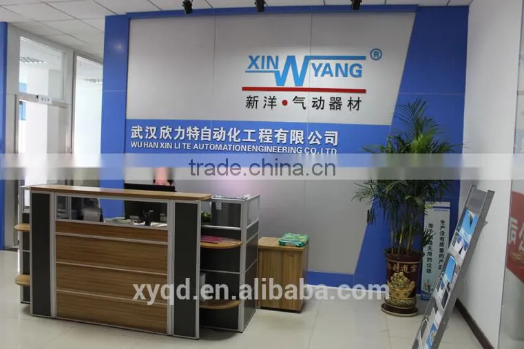 Stainless Steel Pneumatic Control Piston Angle Seat Valve