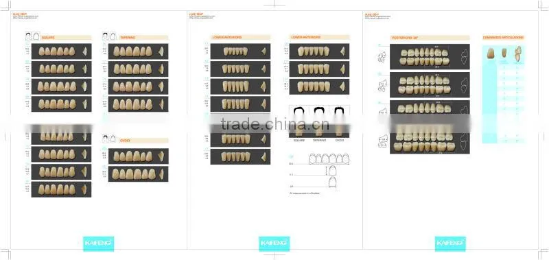 CE certification synthetic resin teeth