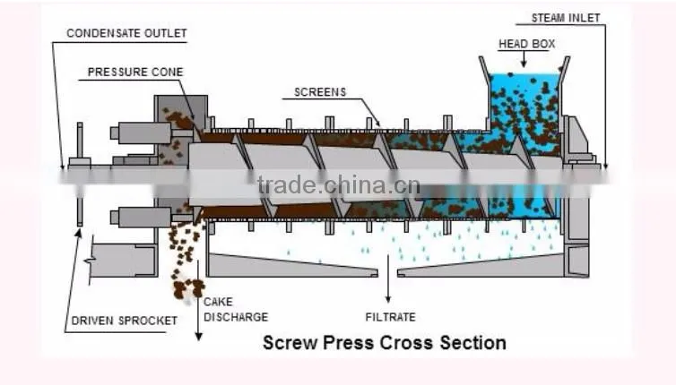 Factory price groundnut oil machine for big profit
