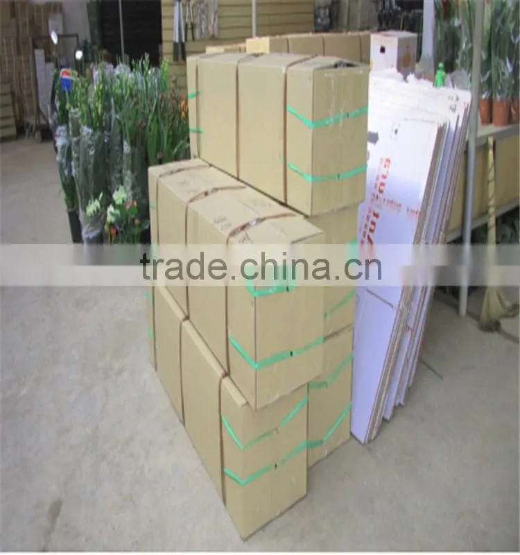 the first class fresh wintersweet plant to delivery across the world