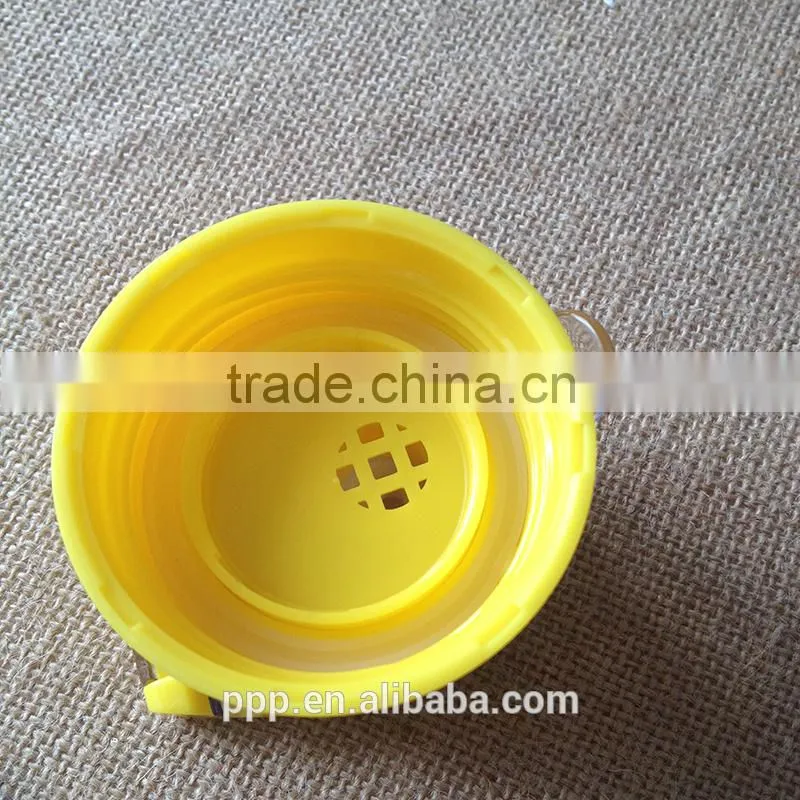 plastic water bottle with fruit infuser