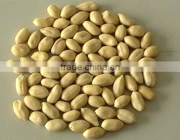 Lower price blanched peanut kernels round type