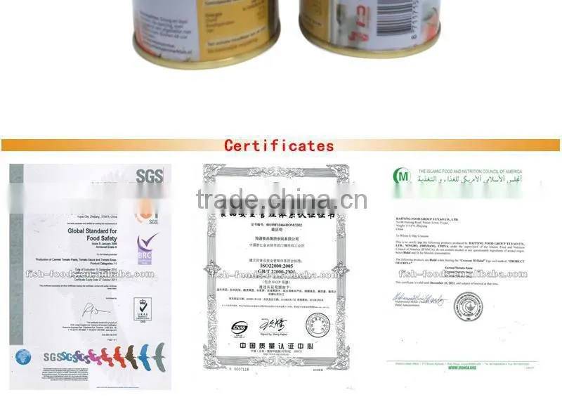 Tomato paste usa hot selling! 70gX50tins