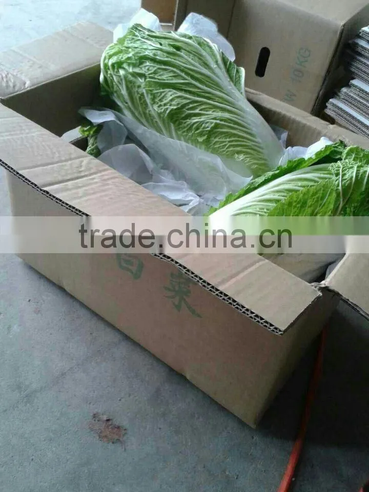 Chinese cabbage