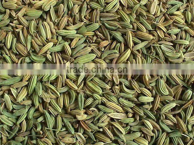 Spices