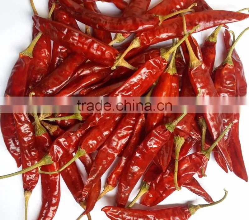 Exporters of Sanam Chilli/S 4 Chilli/S 334 Chilli