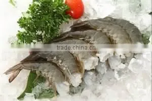 Frozen Shrimp Price