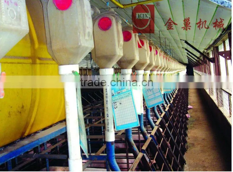 ^Pregnant pig Stall for Sows with good quality