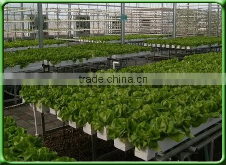 Indoor hydropon growing system for greenhouse/hydroponic system/Agrotime Advanced nft hydroponic systems for sale/aquaponic syst
