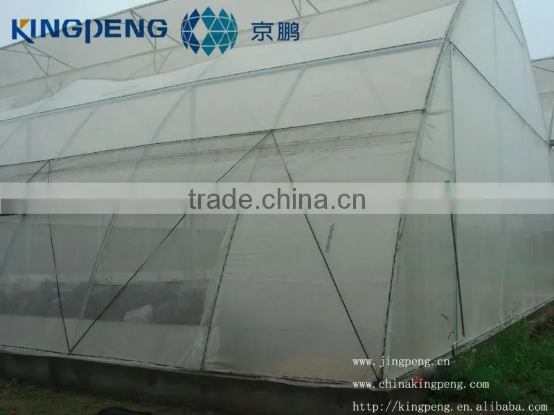 Polythene greenhouse
