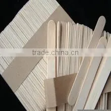 Flatware ice cream stick house non-toxic