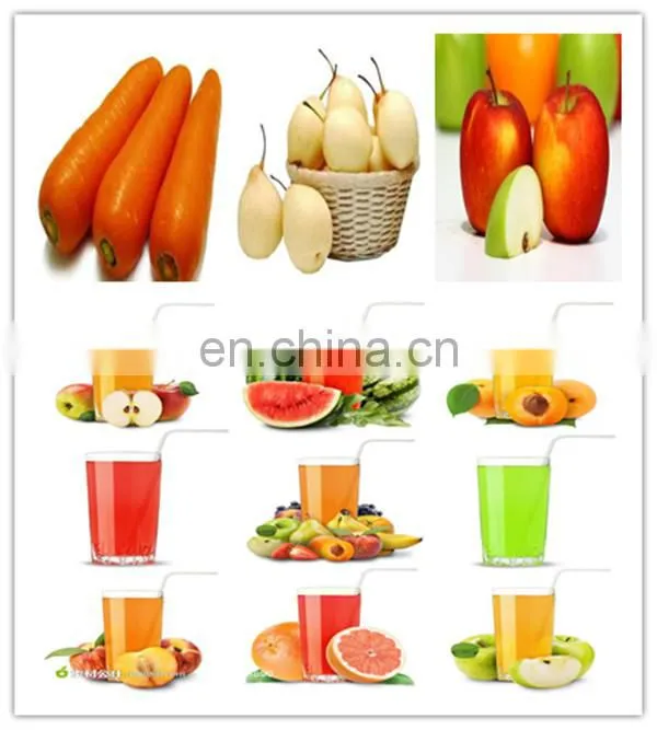industrial cold press juicer/apple juice belt press