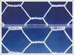Double Twist Hexagonal Wire Mesh