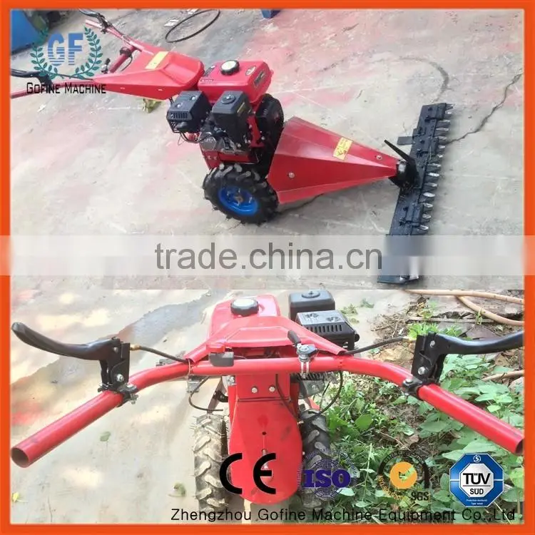 gasoline lawn mower
