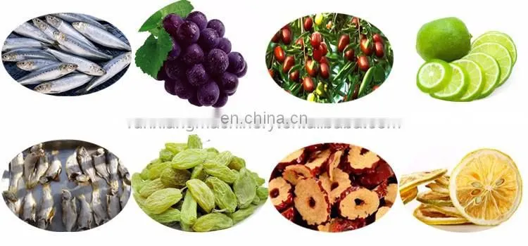 Industrial Hot Air Infrared Fruits Jerky Drying Oven Dryer Dehydrator Machine