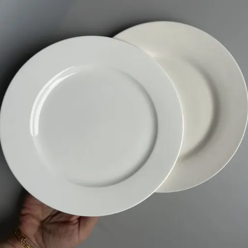 bone china vs porcelain (2)