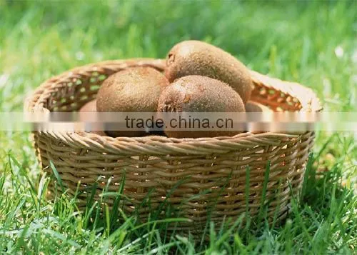 High Imitation Artifical Fruit For Decoration