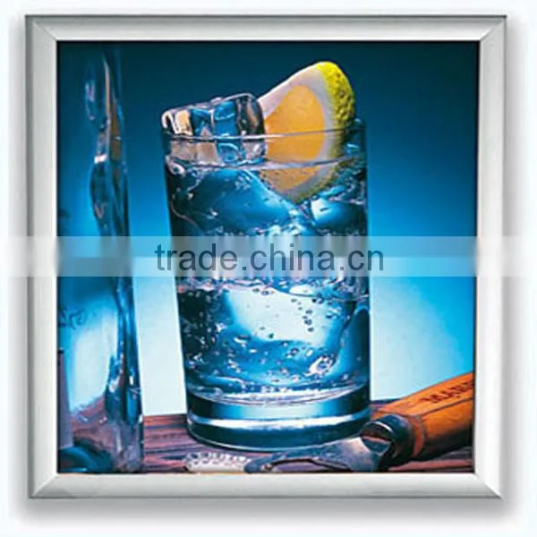 Picture Frame And Poster Frames With Snap Frame For Posters