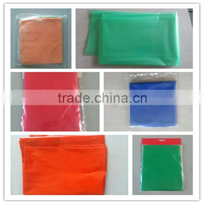 Hot sale PE drop cloth