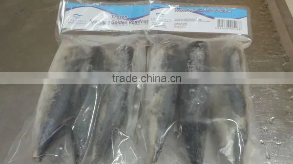 100% net weight Frozen mackerel