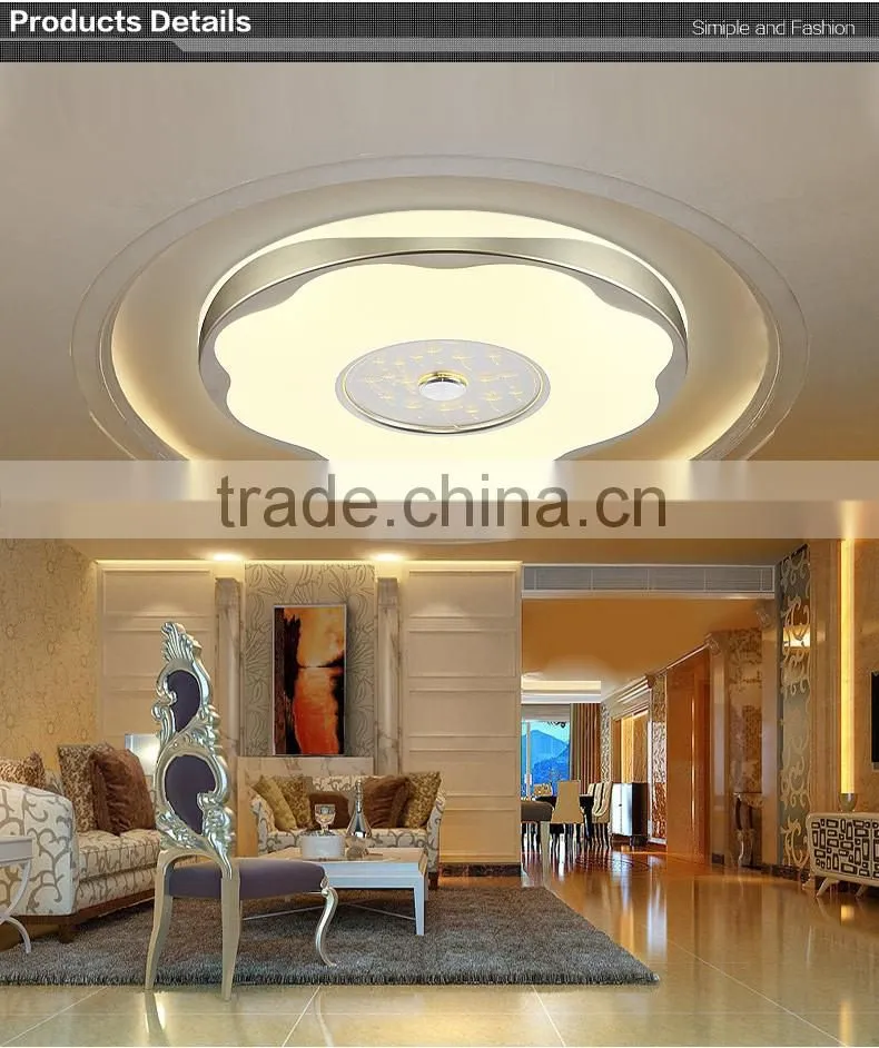 2016 new design ceiling mount led light 30W per color small for bedroom or reading room