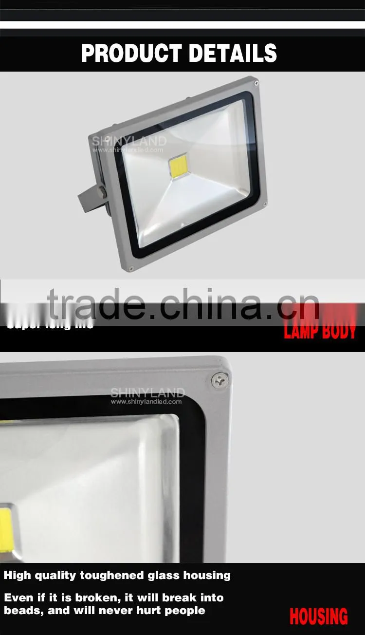 Russian distributors wanted 10w led floodlight housing with low price