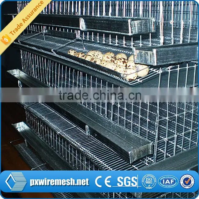 High Quality Durable Customized Quail Cage Design