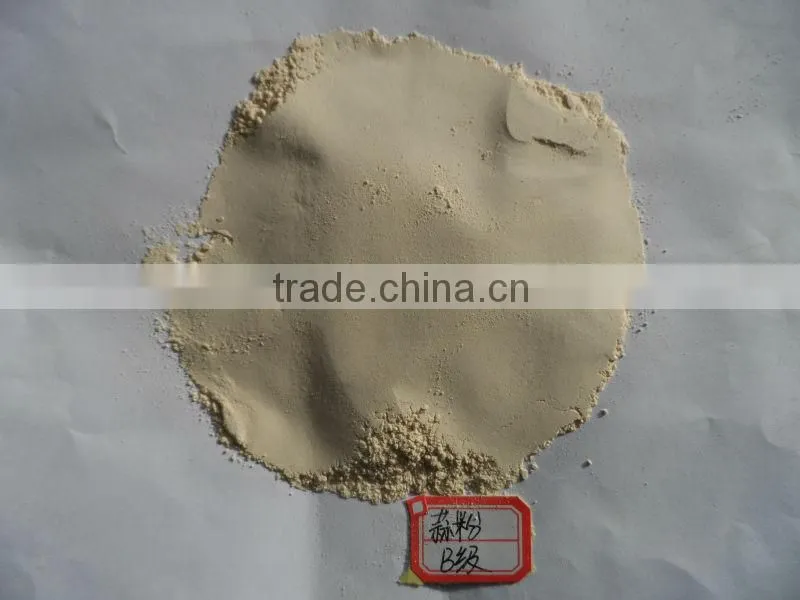 garlic powder