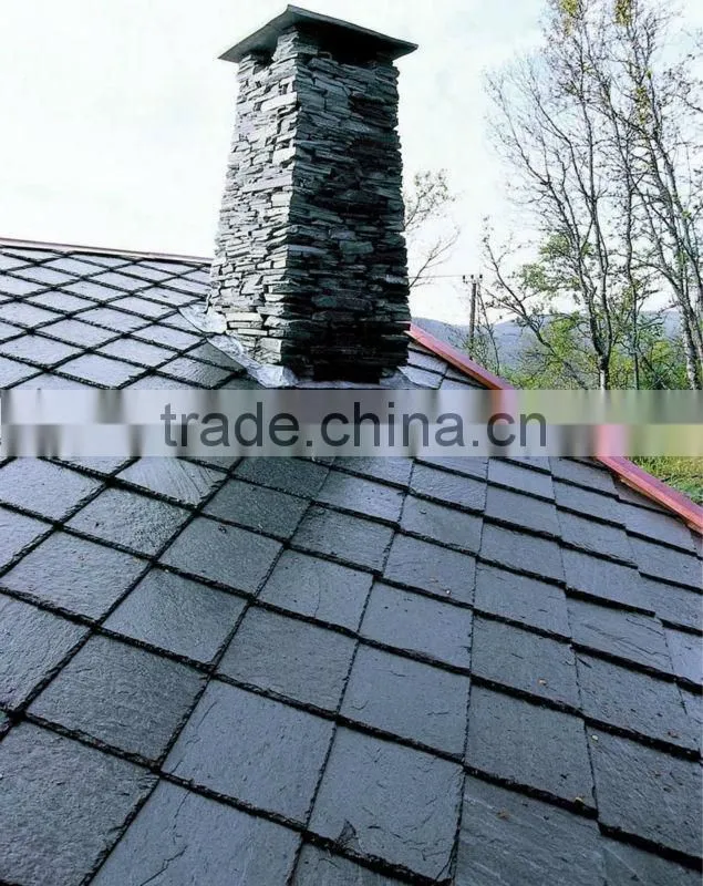 exterior roof tiles pictures