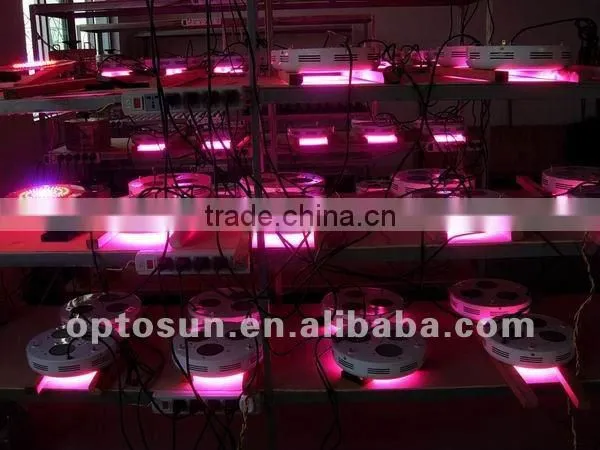2012 best led grow light 300w for all plants