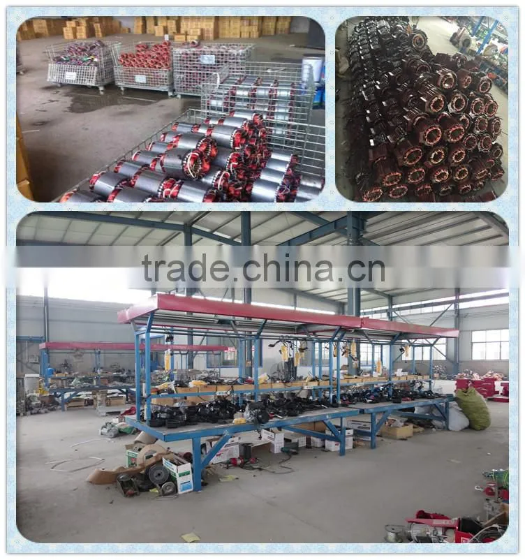 hot sale 500kg-1000kg Wire Rope Electric Motor Hoist/Electric Winch