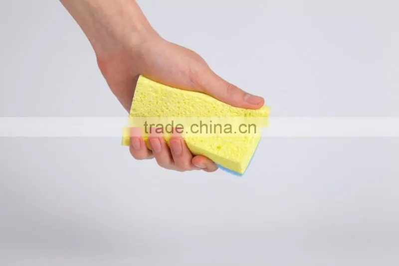 cellulose sponge