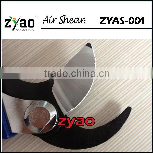small pruning shears
