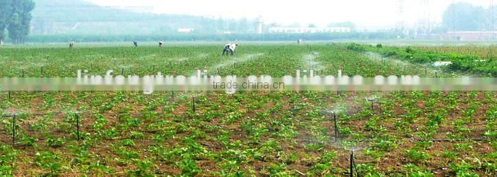 Drip Irrigation Machinery