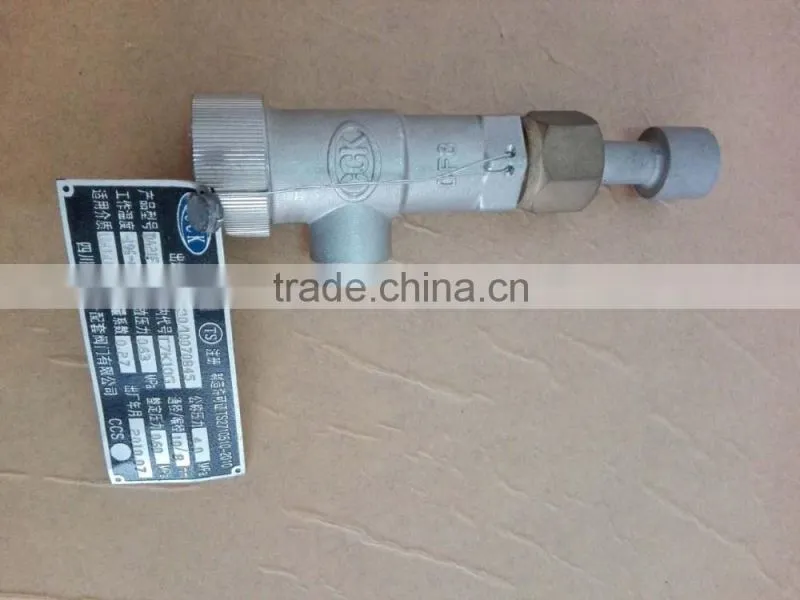 DN25 2.42MPa Safety Valve