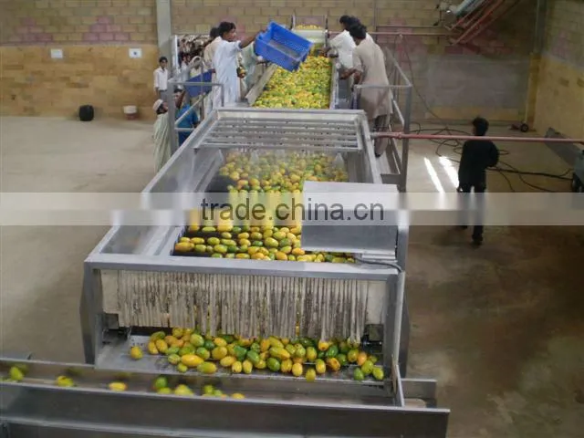 complete set of mango juice production plant